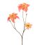POINSETTIA 67CM PINK