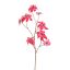 POINSETTIA 106CM BEAUTY