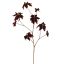 POINSETTIA 106CM BURGUNDY