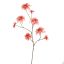 POINSETTIA 106CM PEACH