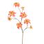 POINSETTIA 106CM PINK