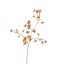 MINI FLOWER 77CM BROWN