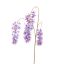 WISTERIA 104CM LILA