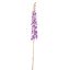 DELPHINIUM 135CM LILA