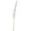 DELPHINIUM 135CM WHITE
