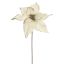 POINSETTIA D30CM H50CM VANILLA