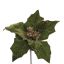 POINSETTIA D23CM H45CM GREEN