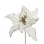 SPIKE POINSETTIA D23CM H45CM WHITE