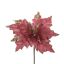 SHINY POINSETTIA D22CM H45CM PINK