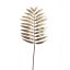 SINGLE CHAMAEDOREA 72CM GOLD BROWN