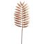 SINGLE CHAMAEDOREA 72CM GOLD ORANGE