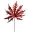 ACER LEAF 34CM 6PCS IN POLYBAG RED (price/6pcs)