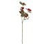 HOLLY LEAF SPRAY X2 56CM CREAM GREEN