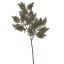 CYPRESS SPRAY W/ICE 65CM GREEN