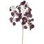 EUCALYPTUS GOLDSTEM 90CM BURGUNDY