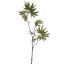 MAPLE LEAF 77CM GOLD GREEN