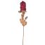 CALLISTEMON CITRINUS 69CM BEAUTY