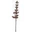 PINE SPRAY W/ICE 62CM BROWN