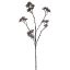 STAR ANISE W/ICE 62CM BROWN