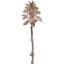 SMALL PINE CONE ON STEM 45CM CHAMPAGNE