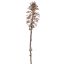 LARGE PINE CONE ON STEM 67CM CHAMPAGNE