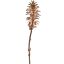 LARGE PINE CONE ON STEM 67CM GOLD