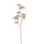 PLASTIC LEAF BRANCH 70CM CHAMPAGNE