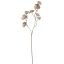 GERANIUM LEAF BRANCH 66CM CHAMPAGNE