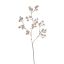SNOWBALL BRANCH 85CM CHAMPAGNE