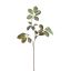 LEAF SPRAY SHINY 75CM GREEN