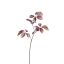 LEAF SPRAY SHINY 75CM MASSALA