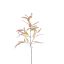 EUCALYPTUS SPRAY SHINY 95CM CREAM PINK