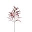 EUCALYPTUS SPRAY SHINY 95CM MASSALA