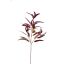 EUCALYPTUS SPRAY SHINY 95CM RED