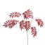 LARGE MATTE ELDERBERRY  120CM RED