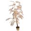 CHAMAEDOREA IN POT 170CM GOLD
