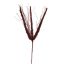 FOXTAIL BRANCH 67CM BURGUNDY