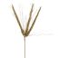 FOXTAIL BRANCH 67CM GOLD