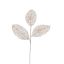 ROUND LEAF BRANCH 75CM CHAMPAGNE