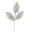 ROUND LEAF BRANCH 75CM GREEN