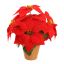 POINSETTIA X6 IN POT 35CM RED