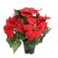 POINSETTIA X5 IN POT 36CM RED