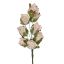Foam half open roos - champagne - H 30 CM