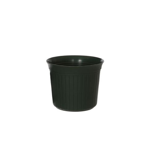 0505013 DKGR.jpg