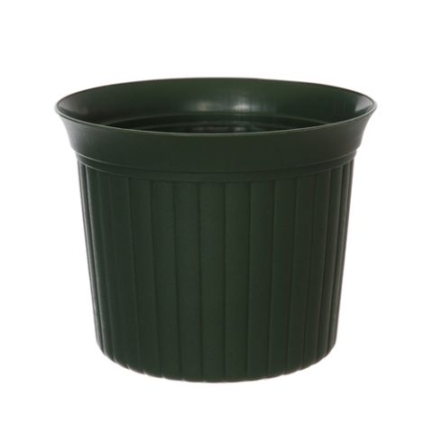 0505015 DKGR.jpg