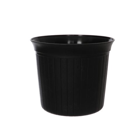 0505019 BL.jpg
