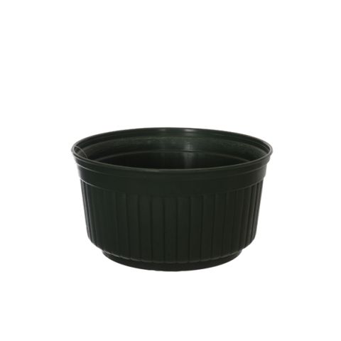 0534019 DKGR.jpg