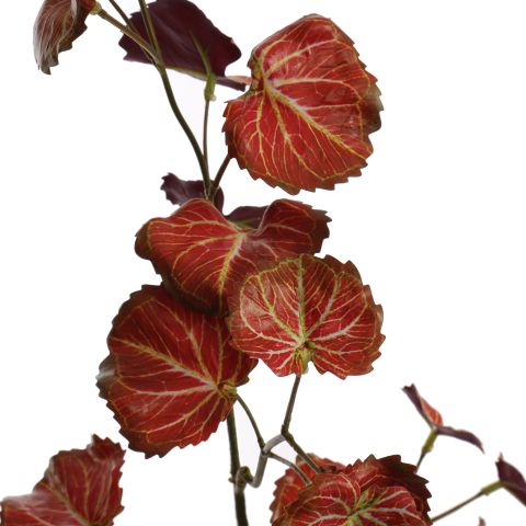 HEUCHERA LEAF 77CM RED