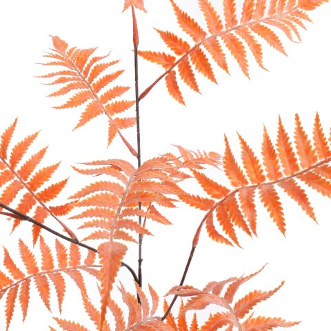 POWDERED FERN 95CM PEACH