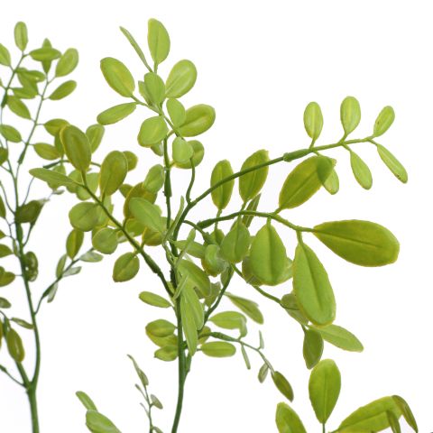 LARGE PLASTIC LEAVES 95CM GREEN